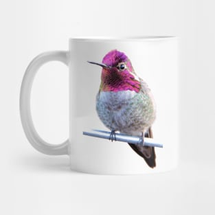 Anna's Hummingbird Photo Mug